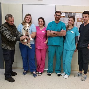 Loving story - man, dog, cat