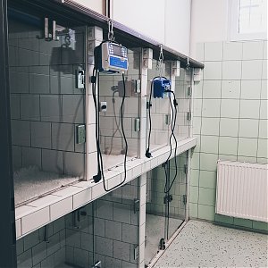 Nová hospitalizačná časť na klinike PrimaVet