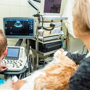 Kardiologická a respiračná diagnostika