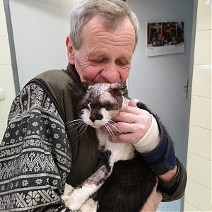 Loving story - man, dog, cat