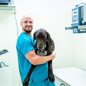 Hľadáte skúseného ortopéda? U nás ho nájdete!