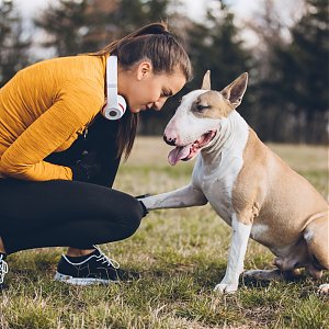 Into a good shape with dog and cat for the spring ! :)