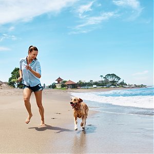 Want to take your pet on vacation?