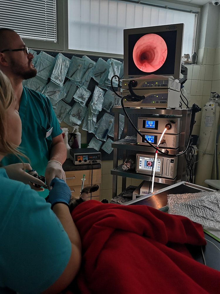 Naša klinika urobila veľký krok vopred - Endoskopia