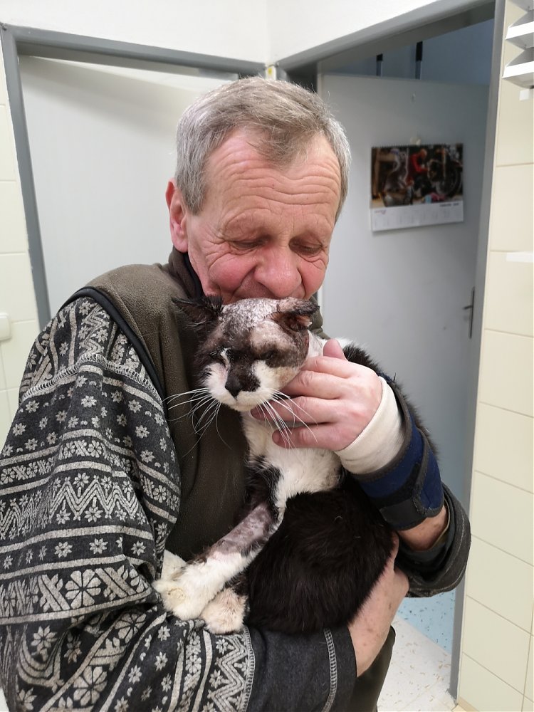 Loving story - man, dog, cat