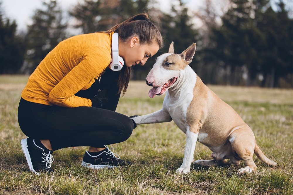 Into a good shape with dog and cat for the spring ! :)