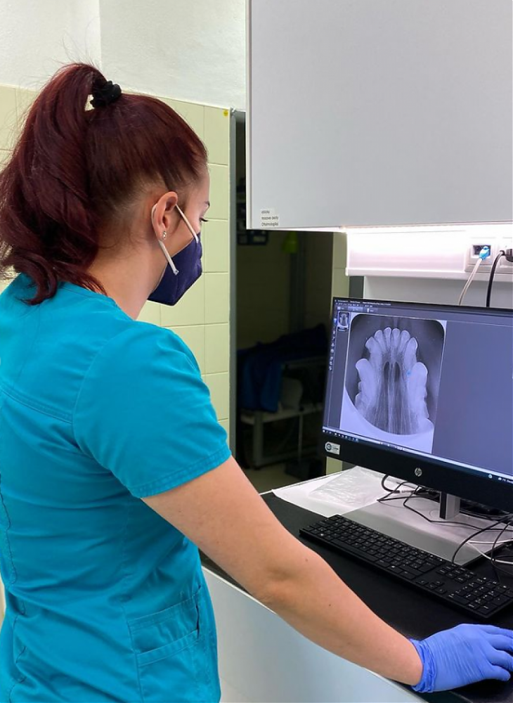 Intraorálny RTG priamo na našej klinike