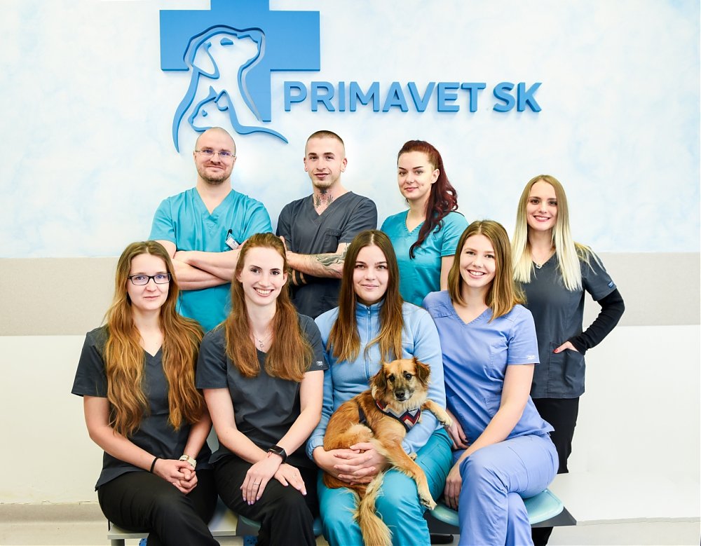 Račiansky výber: V Rači nájdete veterinu, akú si klienti vždy priali